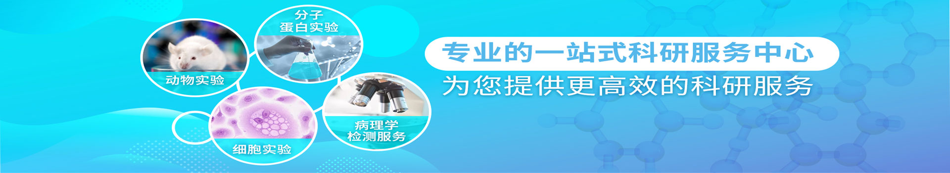 德爾夫